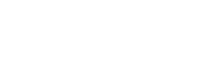 Devkron. Knowledge in motion